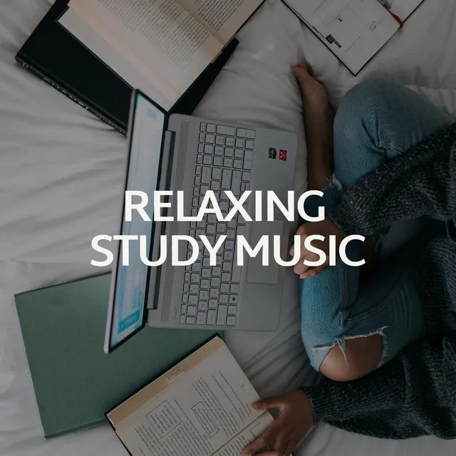 Relaxing Study Music