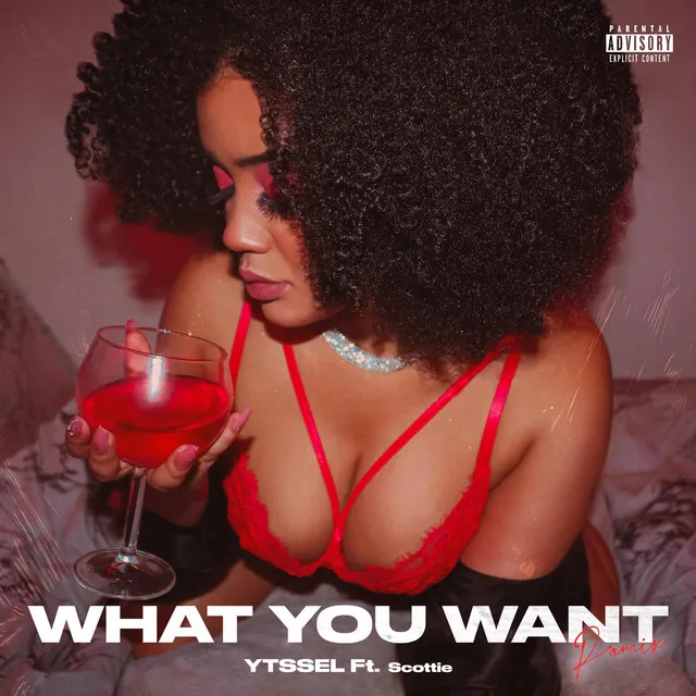 What You Want - Remix