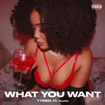 What You Want (Remix) by Ytssel