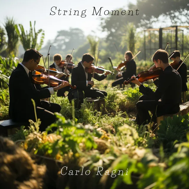 String Moment