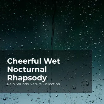 Cheerful Wet Nocturnal Rhapsody by #Sleepy Rain