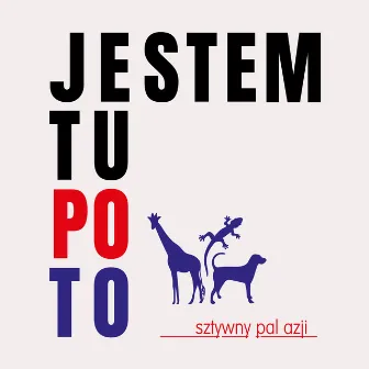 Jestem tu po to by Sztywny Pal Azji