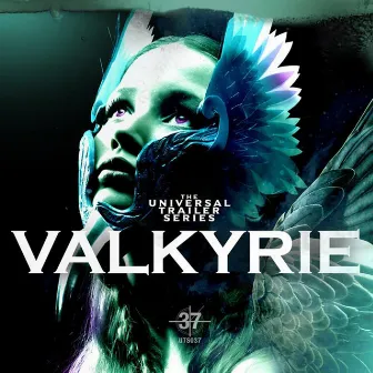 Valkyrie by Steve Everitt