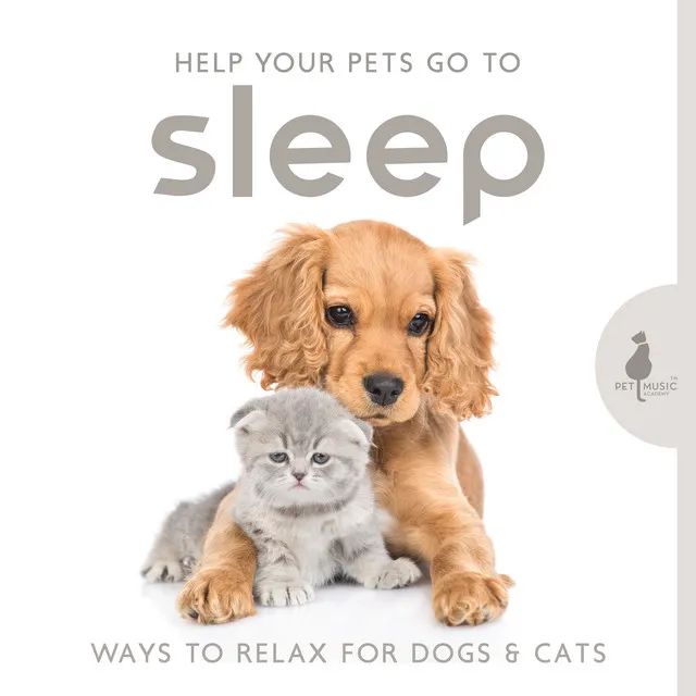 Help Your Pets Go to Sleep