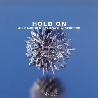 Hold On by Ali Bakgor