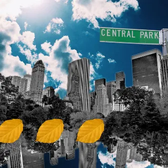 Central Park by Matte Velvet