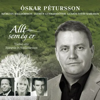 Allt sem ég er by Óskar Pétursson