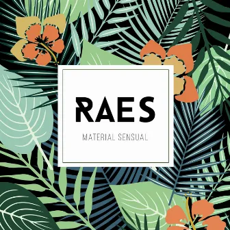 Material Sensual by Raes