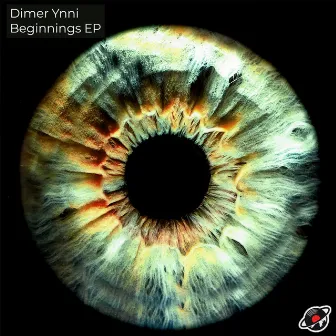 Beginnings EP by Dimer Ynni