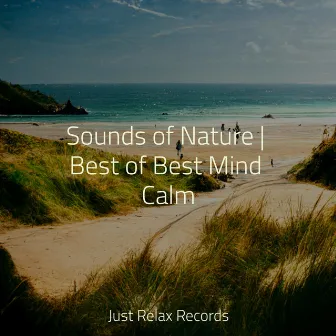 Sounds of Nature | Best of Best Mind Calm by Anxiety Relief