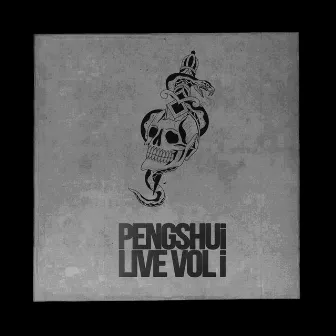 Live Vol i by PENGSHUi