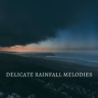 Delicate Rainfall Melodies by Wilderness Recorders