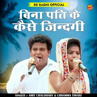 Bina Pati Kaise Jindgi (Hindi) by Amit Chaudhary