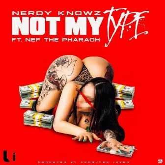 Not My Type by Nerdy KnowZ