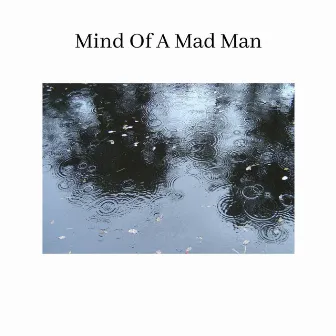 Mind of a Mad Man by Taijitu