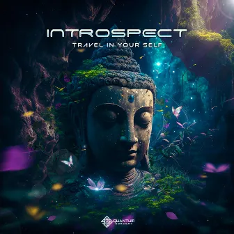 Travel in your self by Introspect