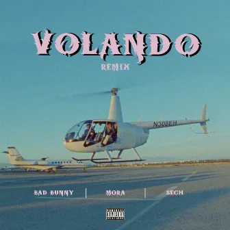 Volando (Remix) by Sech