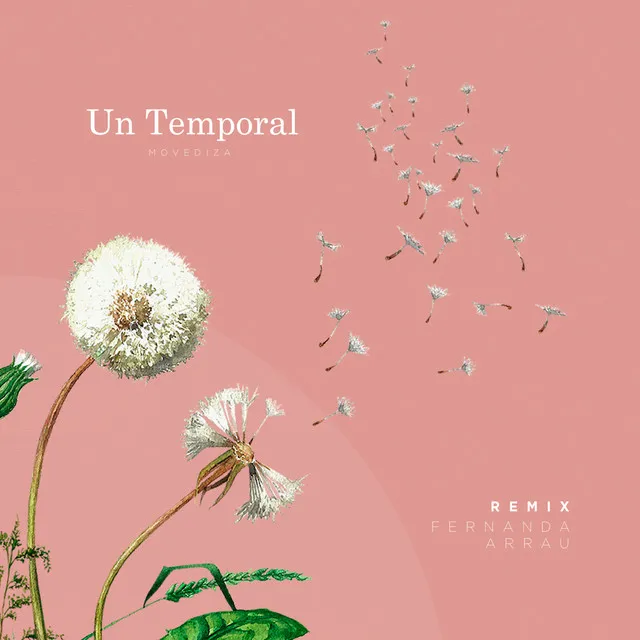 Un Temporal - Fernanda Arrau Remix