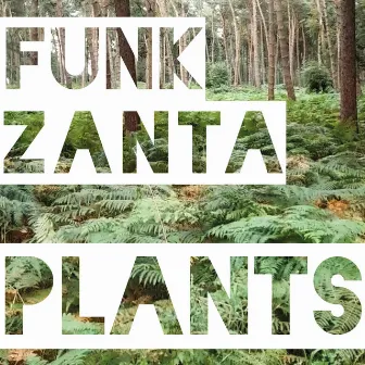 Plants by Funk Zanta