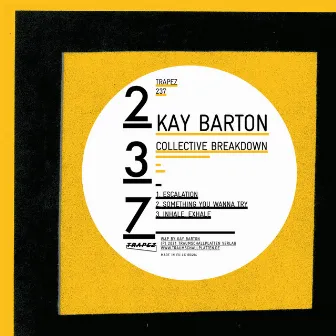 Collective Breakdown by Kay Barton