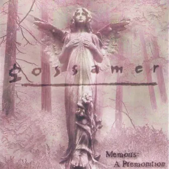 Memoirs: A Premonition by Gossamer