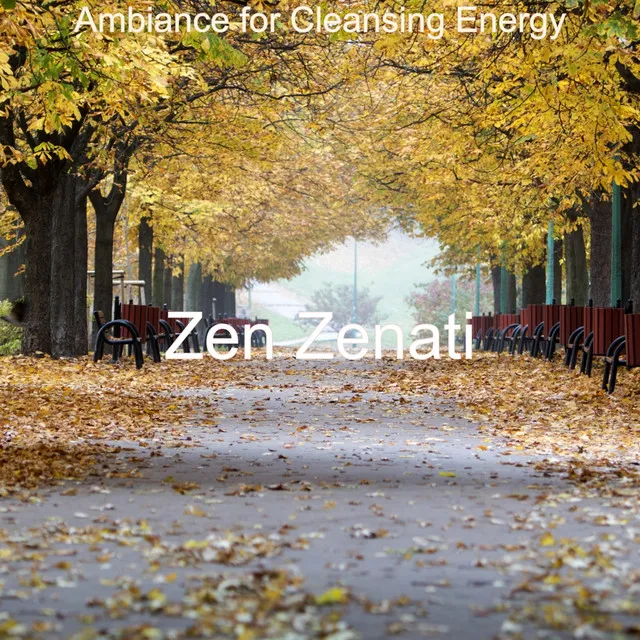 Ambiance for Cleansing Energy