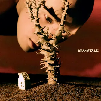 BEANSTALK by YELLOW黃宣