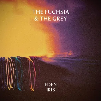 The Fuchsia & The Grey by Eden Iris