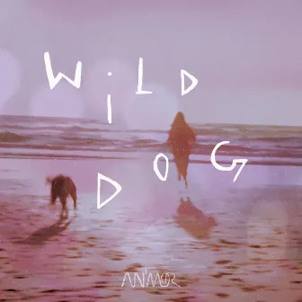 Wild Dog by Animor