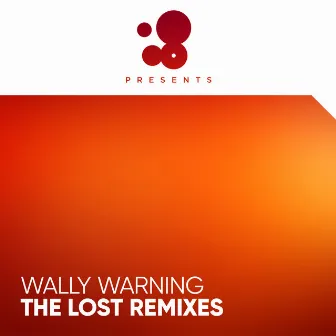 The Lost Remixes by Wally Warning