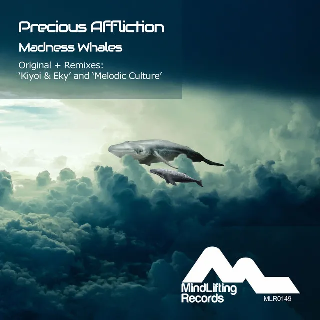 Madness Whales - Melodic Culture's Cinematic Remix