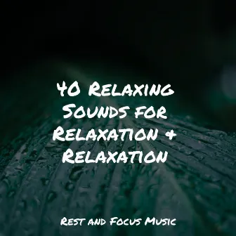 40 Relaxing Sounds for Relaxation & Relaxation by Sleep