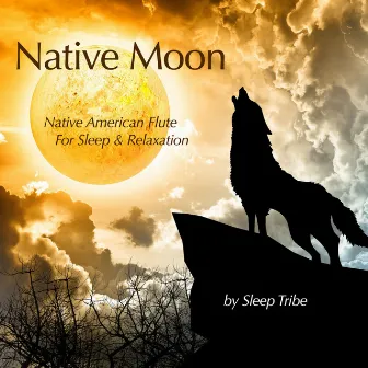 Native Moon (Native American Flute for Sleep & Relaxation) by Sleep Tribe