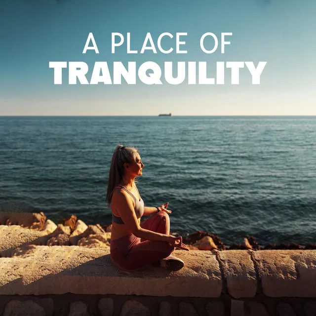 A Place of Tranquility: Relaxing Meditation for Letting Go, Resting with a Peaceful Mind, Calming Down