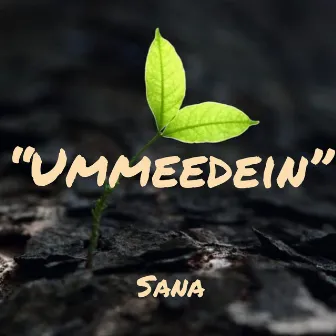 Ummeedein by Sana