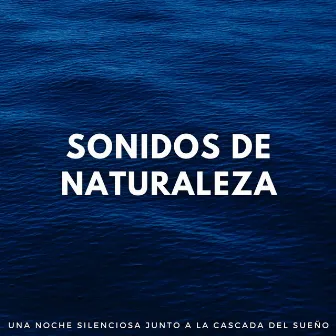 Sonidos De Naturaleza: Una Noche Silenciosa Junto A La Cascada Del Sueño by Sueño profundo de onda delta