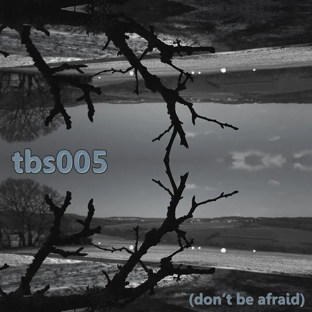 Tbs005 (Don't Be Afraid)