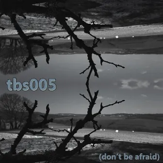 Tbs005 (Don't Be Afraid) by TBS