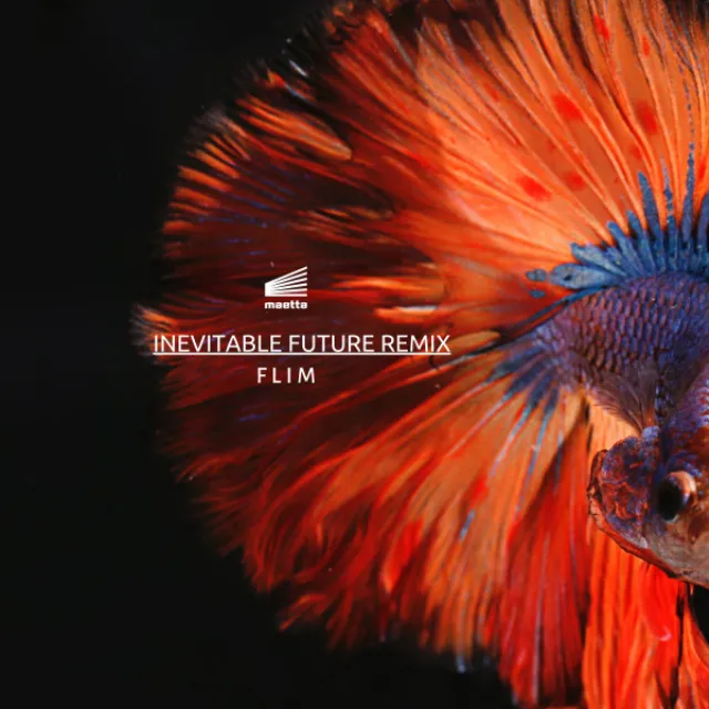 Inevitable Future - Monsieur Reve Remix