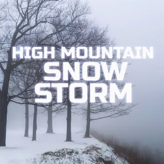 High Mountain Snowstorm by Weather Storms