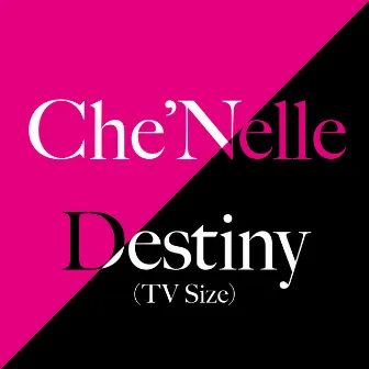 Destiny (TV Size) by Che'Nelle