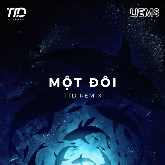 Một Đôi (TTD Remix)