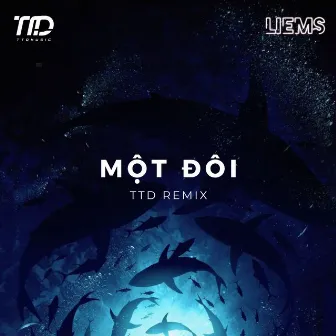 Một Đôi (TTD Remix) by TTD