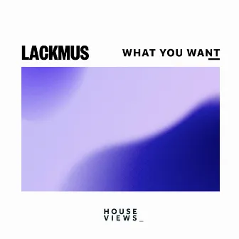 What You Want by Lackmus