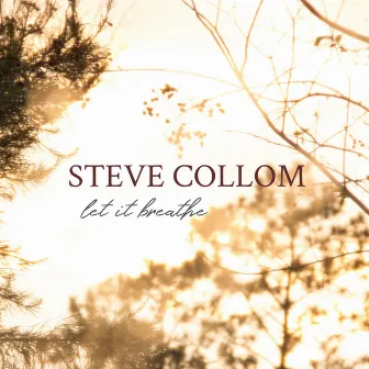 Let It Breathe by Steve Collom