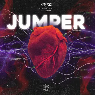 Jumper Conexion 1 by The Brothers Inc