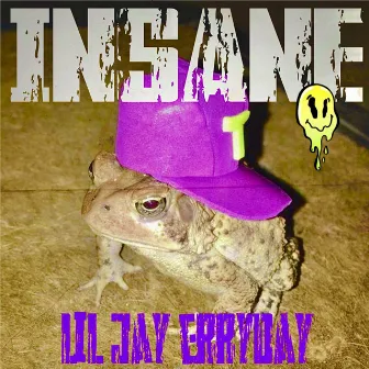 Insane by Lil Jay Erryday