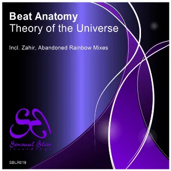 Theory of The Universe by Beat Anatomy