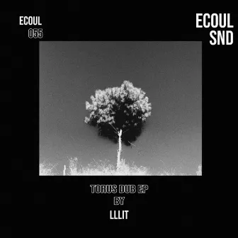 Torus Dub by lllit