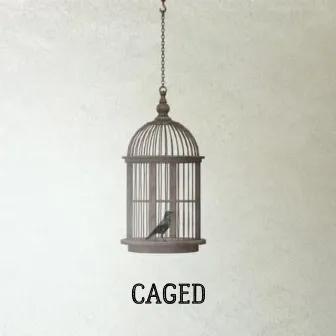 Caged by Team Crazy Kids